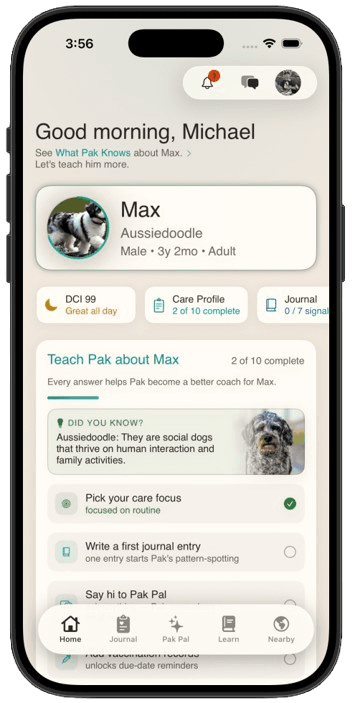 Your personalized dashboard