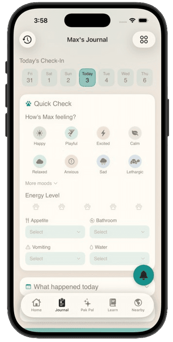 Daily journal check-in