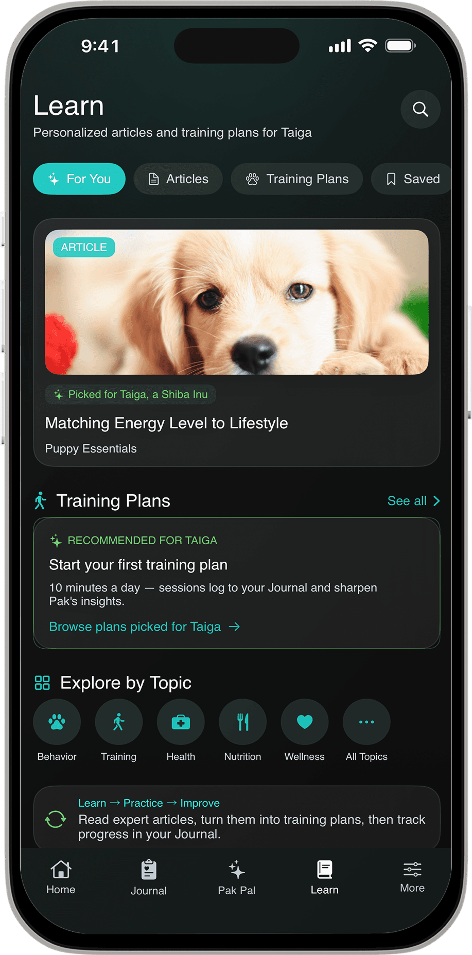 Learn feed personalized for your dog