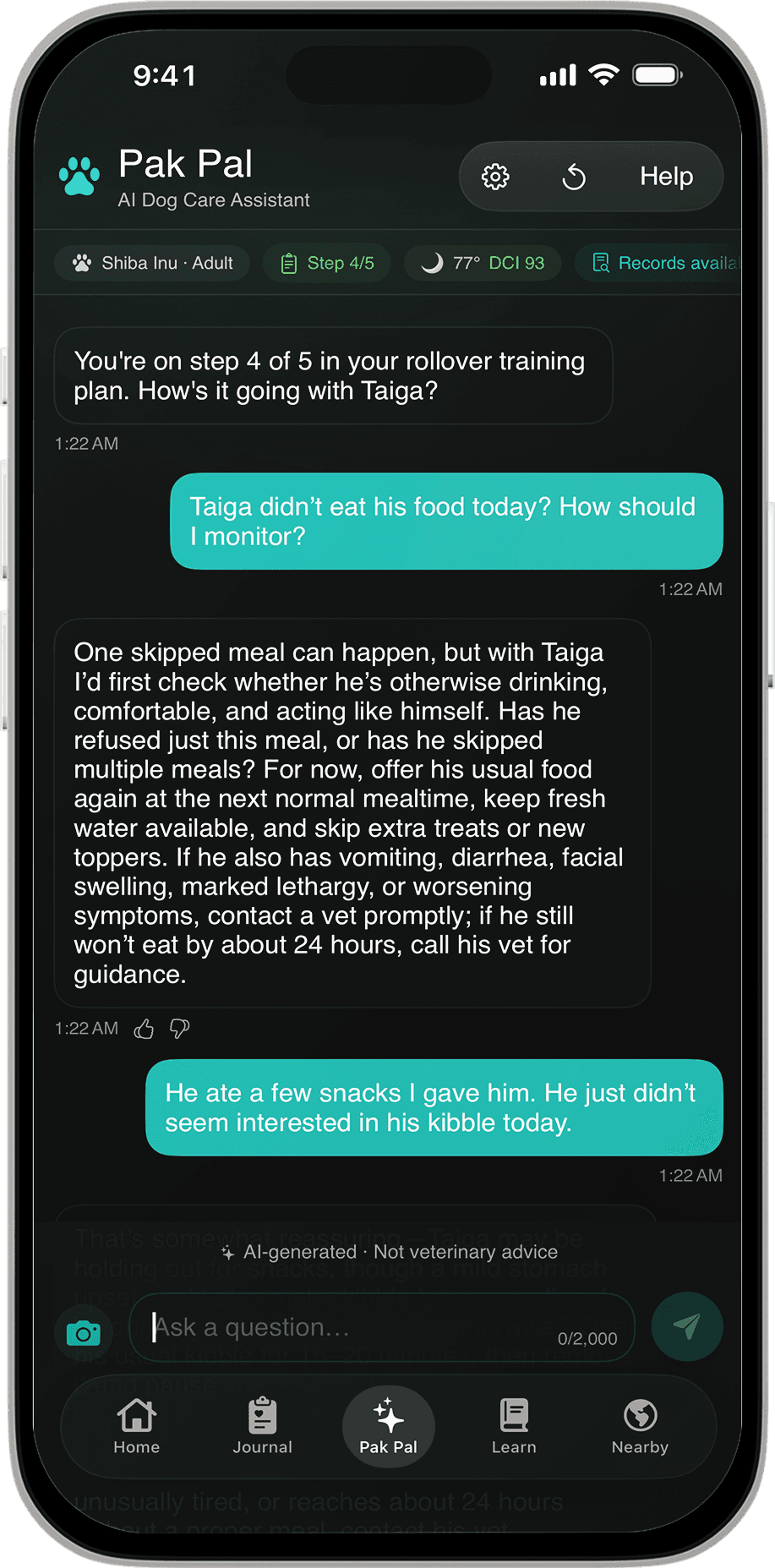 Pak Pal conversation in dark mode