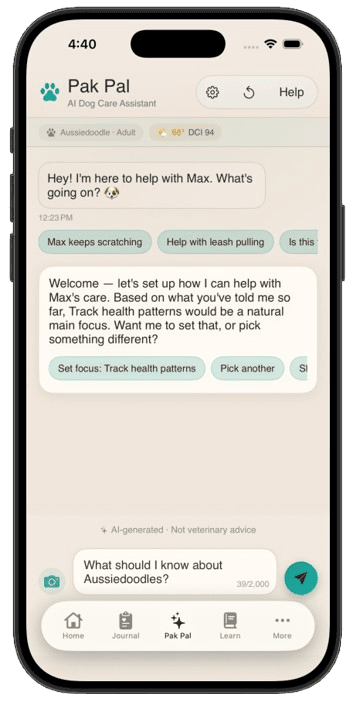Pak Pal conversation