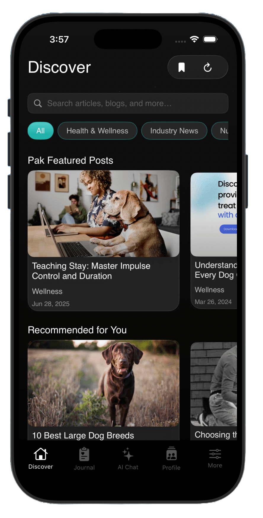 Discover feed