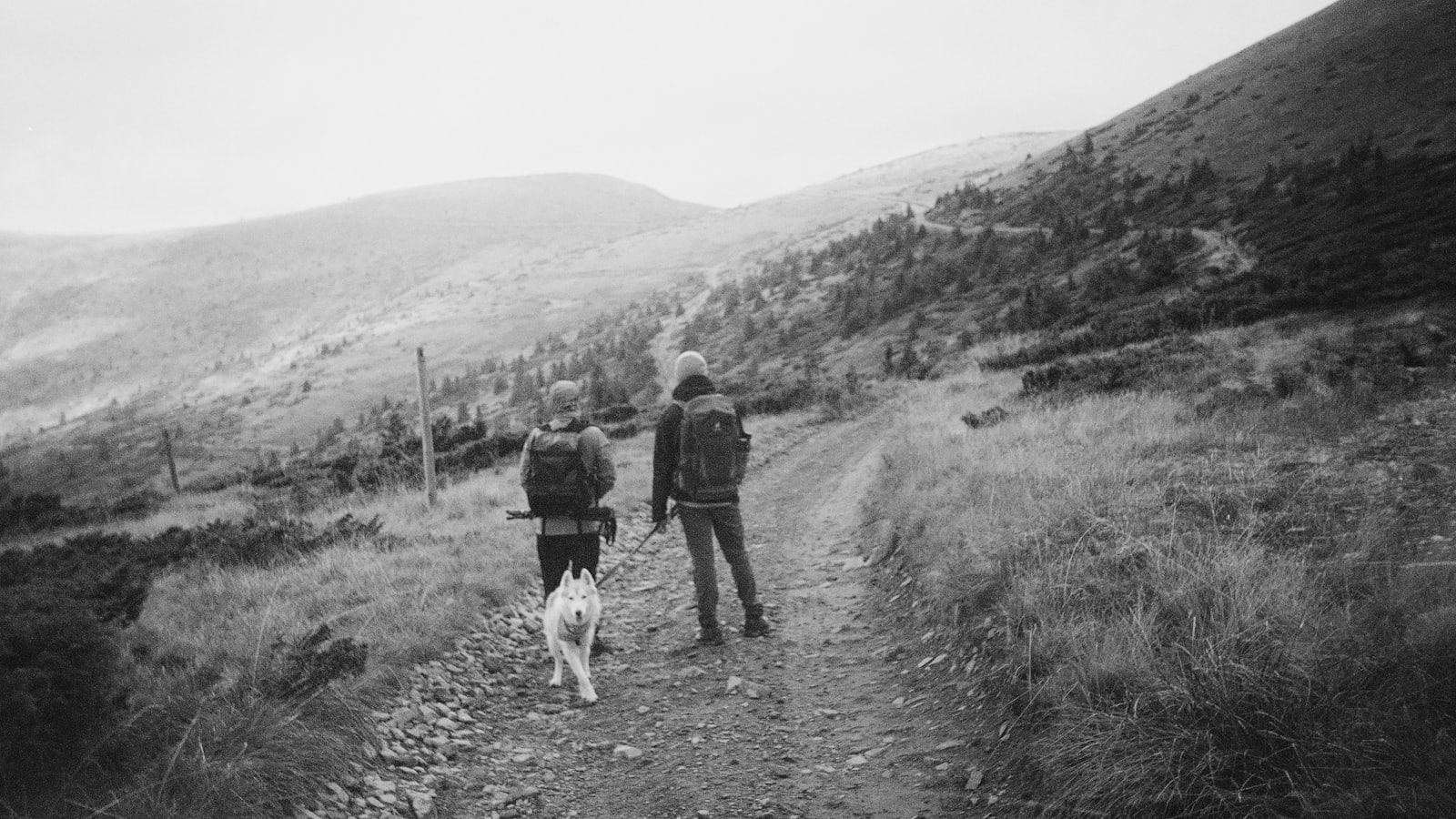 a couple of people walking down a dirt road