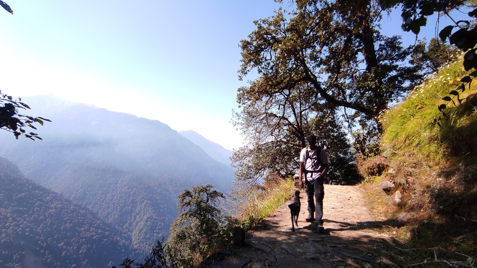 Man and dog walking on mountain trail