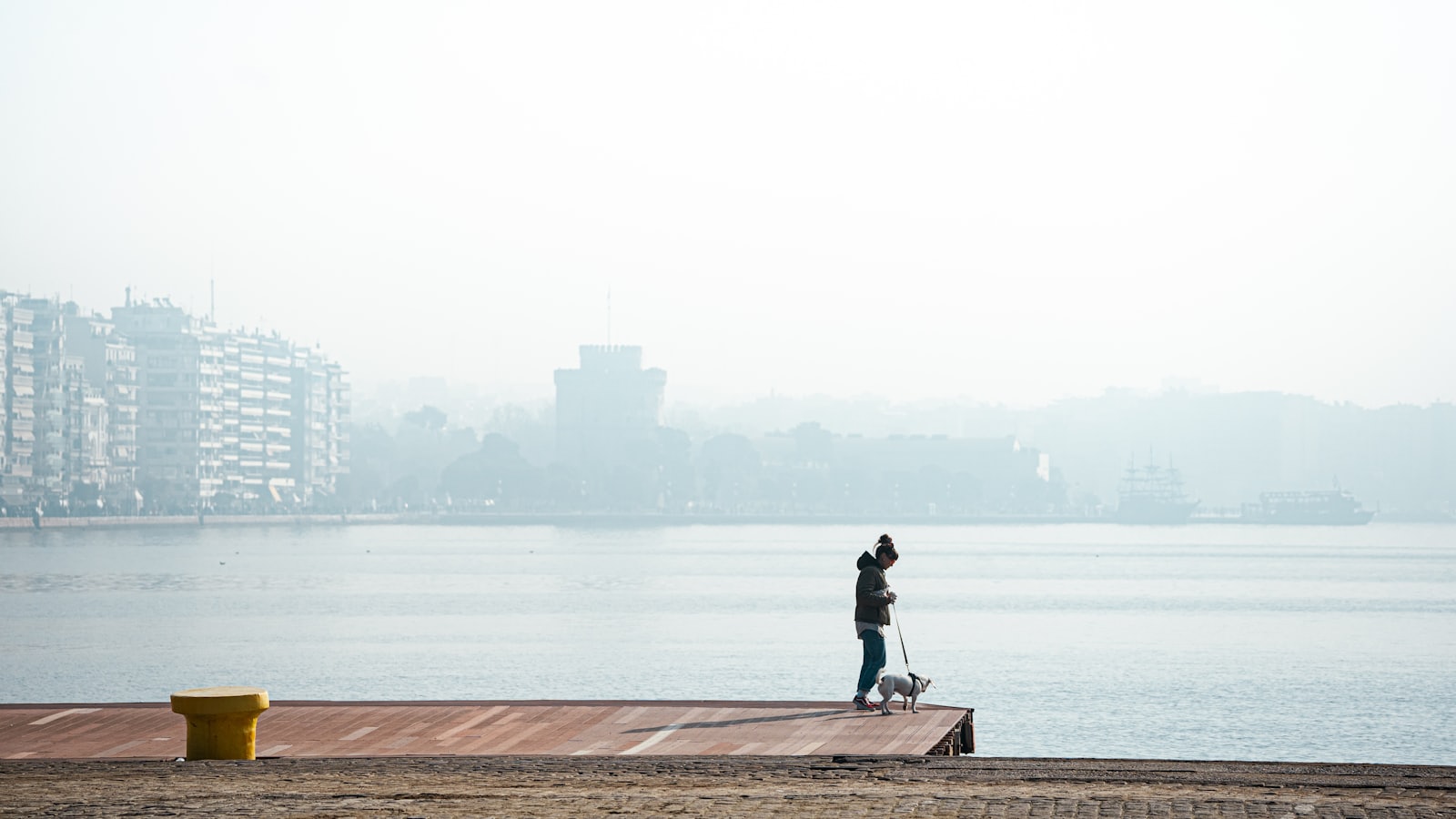 Person walking a dog on a pier by the water.