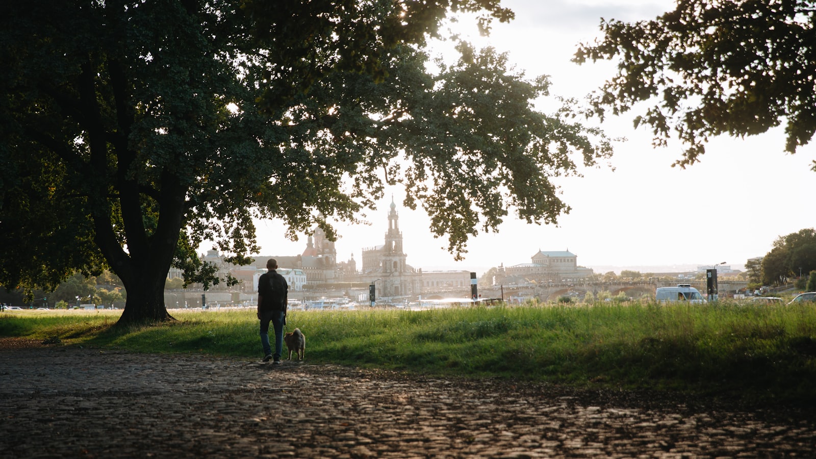 Person walking dog near trees with city skyline.