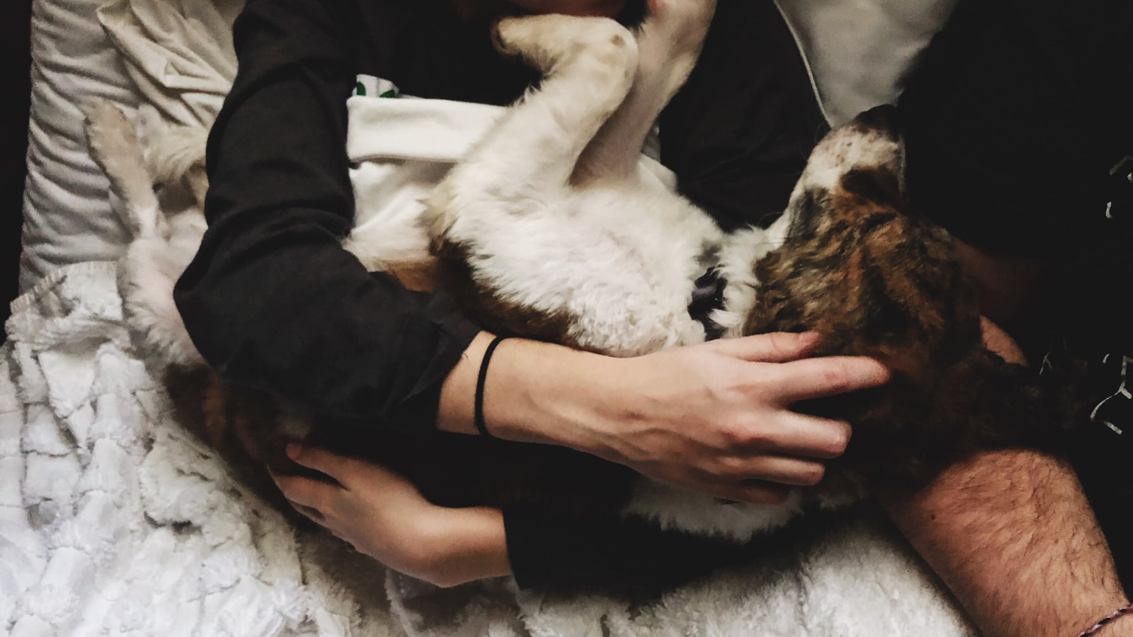 a person laying on a bed holding a dog