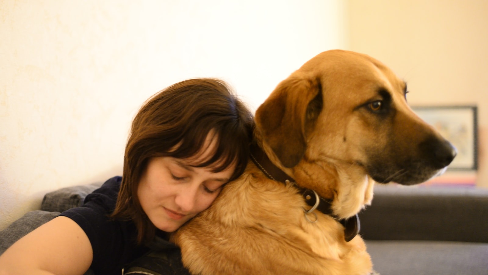girl hugging brown short coated dog