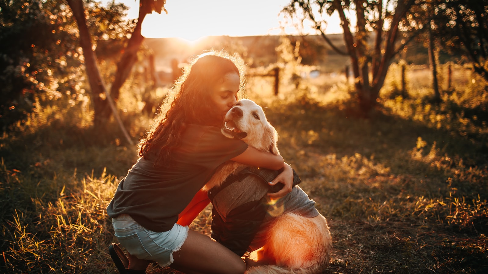 man in gray long sleeve shirt hugging brown dog