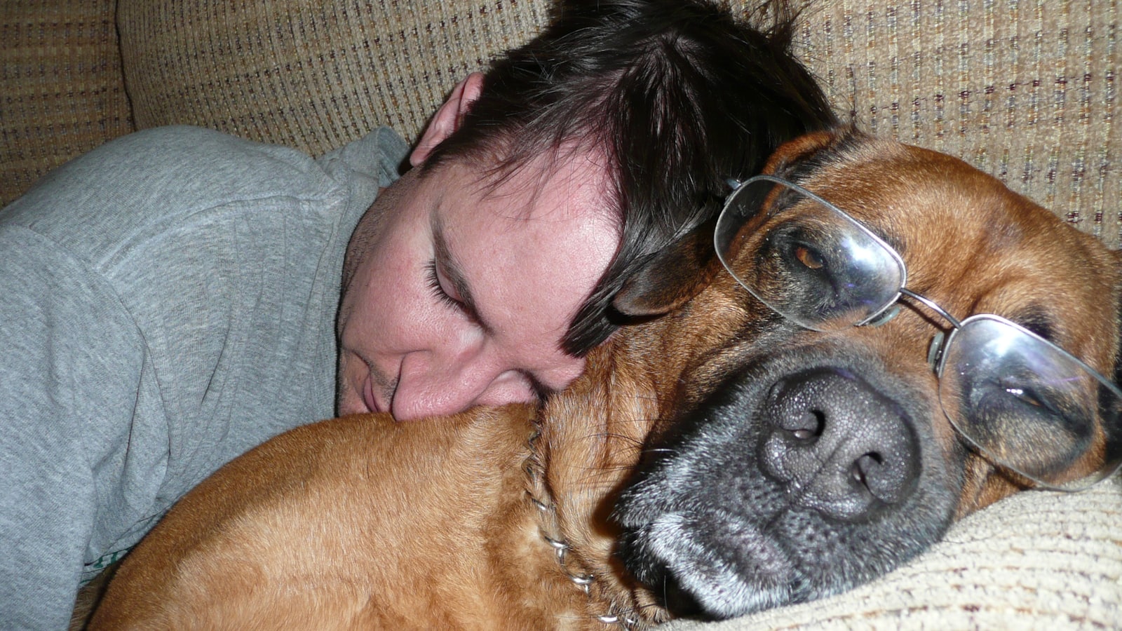 a man laying on a couch next to a dog