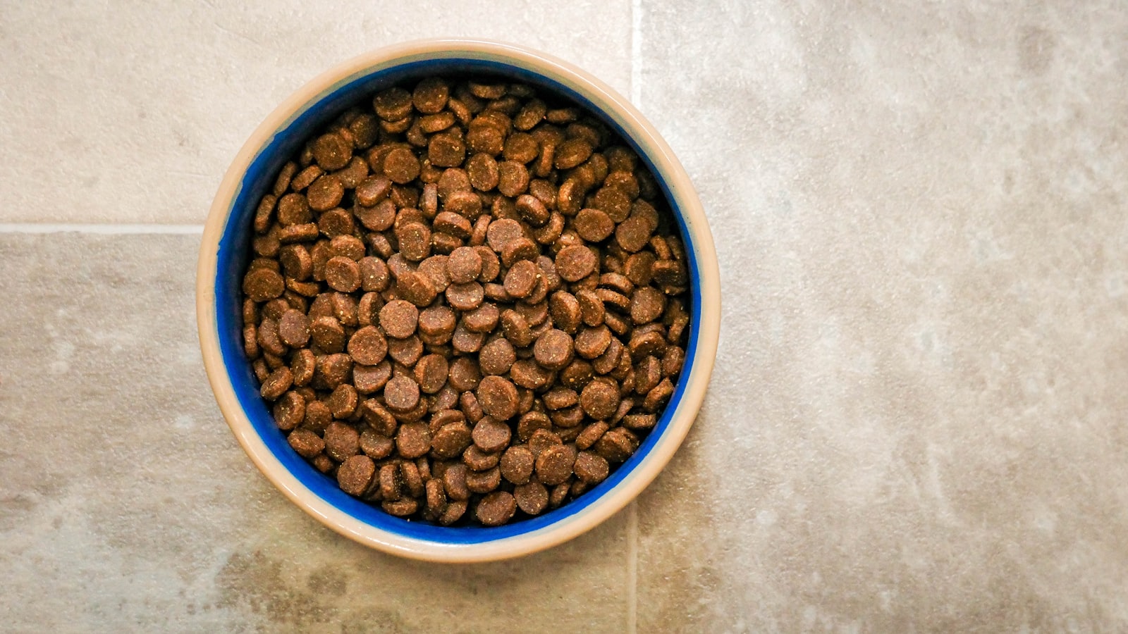 a bowl of dog food on a tile floor
