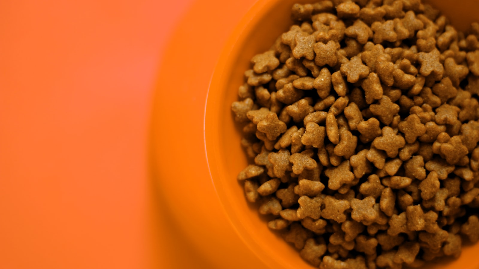 a bowl of coffee beans