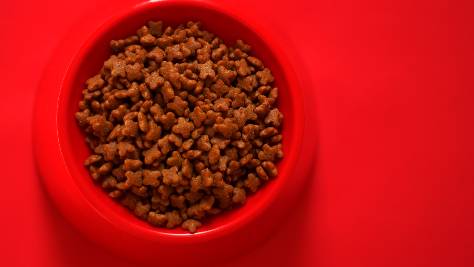 a bowl of cereal