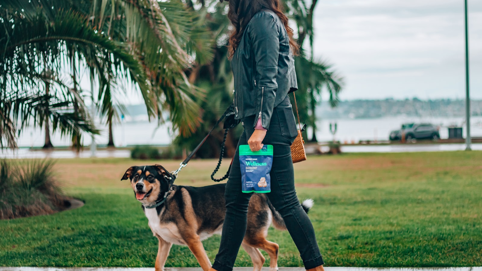woman in black leather jacket and blue denim jeans holding black and brown short coated dog