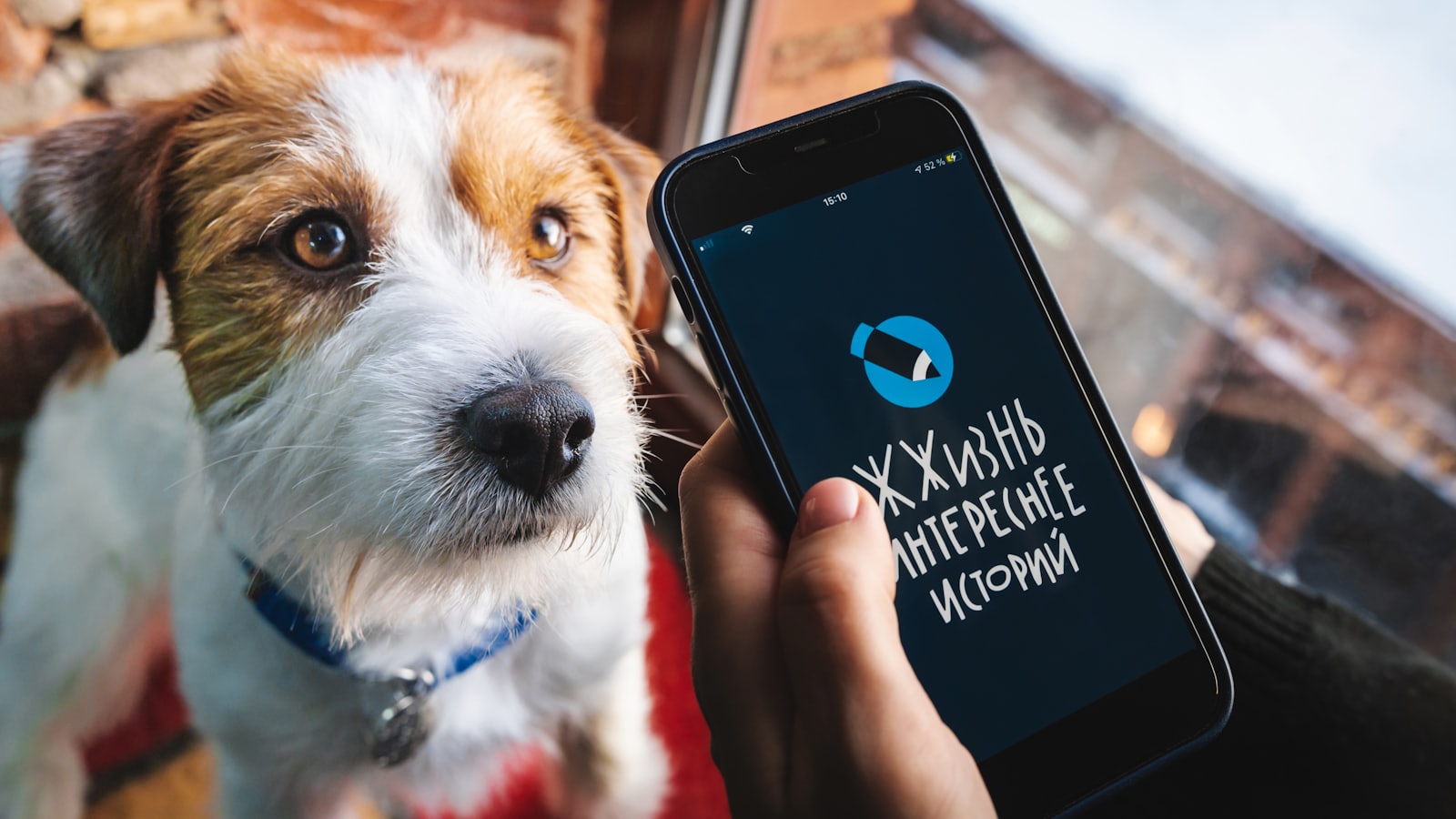 a person holding a cell phone next to a dog