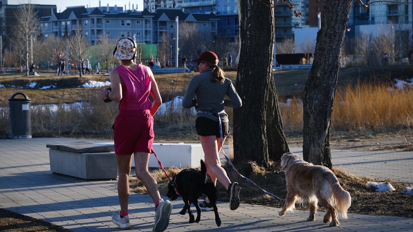 Two women jogging with their dogs on a path.